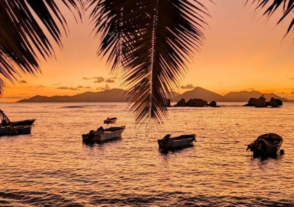 Seyşeller Doha Turu